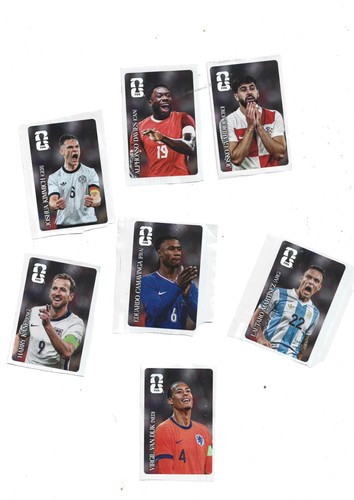 Panini fifa world cup - panini,