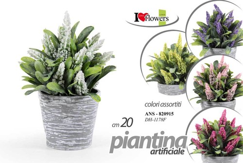 Pianta piantina finta - pianta,