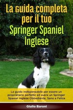 La Guida Completa per Il Tuo