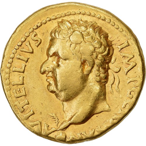1021152 vitellio aureo - vitellio,,
