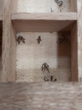 KF-CERTINA 330  Asse Bilanciere Balance Staff (1pcs) Vintage Nos