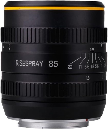 85mm portrait lens - portrait,