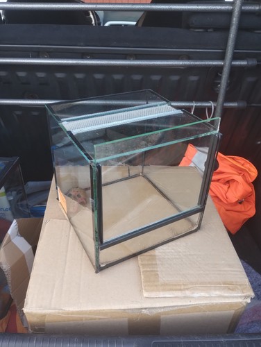 20x20x19 terrario vetro per - in,