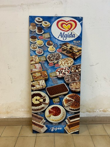 Rara insegna algida nel - rara, -algida-