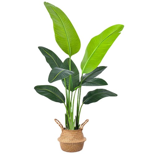 Piante artificiali come vera - piante,