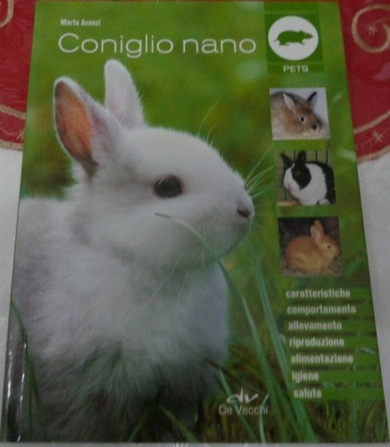 Coniglio nano caratteristiche - coniglio,