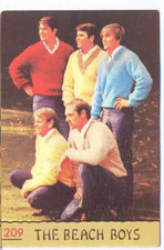 The Beach Boys. 209. Cantanti