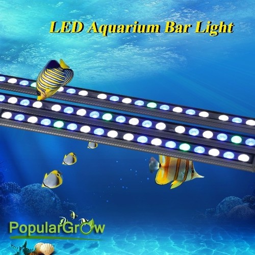 Striscia luminosa led acquario