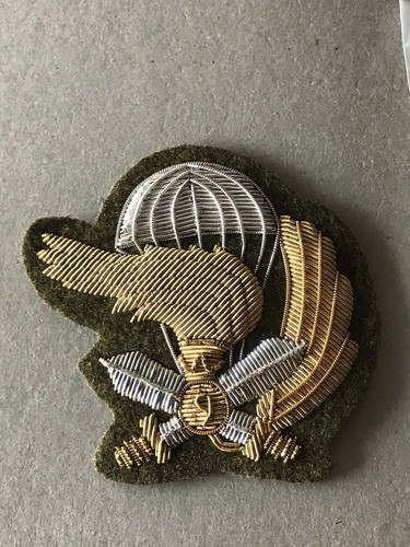 Fregio reggimento incursori - 9,