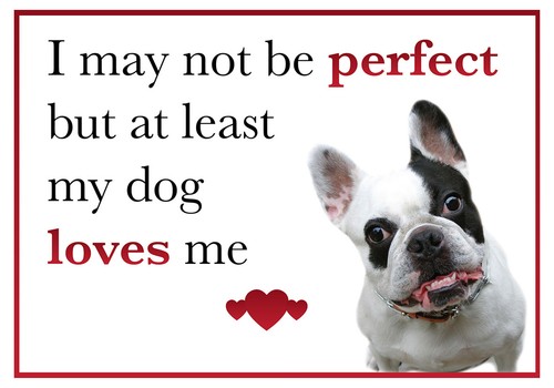 Funny dog loves french - dog,