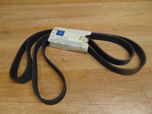 Cinghia coste 28 48 x - a, a