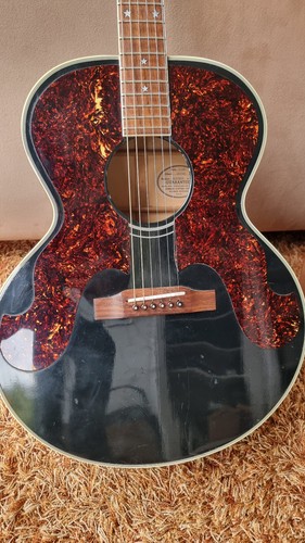 Gibson everly brothers 180 - gibson,