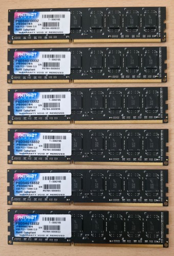 Ram patriot - ram, 24