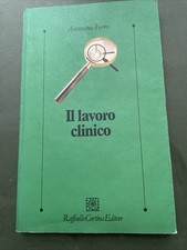 Antonino Ferro, Il lavoro