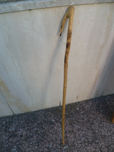 Antico bastone legno - , vaccaro