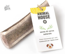 - Premium Deer Horns for