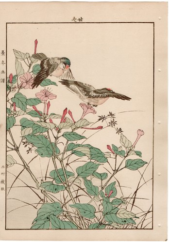 Japanese antique original - japanese,