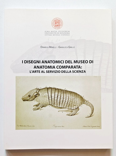 Disegni anatomici del museo - del,
