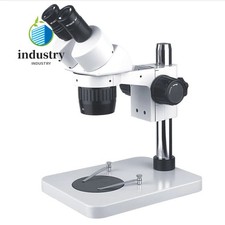 20X40X Orologio Piante Insetto