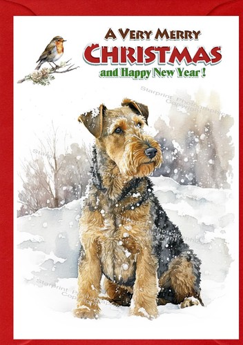 Biglietto natale welsh - biglietto, di