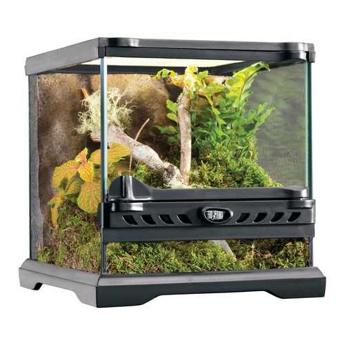 Exo terra glass terrarium - terra,