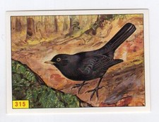 Figurina uccelli panini - uccelli,