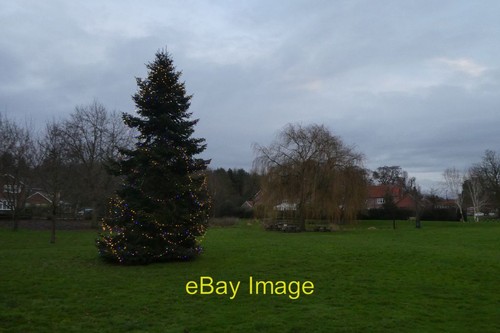 Photo 6x4 christmas tree - tree, in