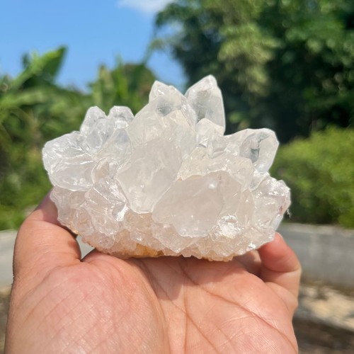 Fiore calcite minerale - calcite,