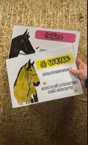 Targhette per box cavalli - per,