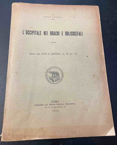 Zanolli occipite nei - zanolli,
