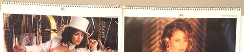 Playboy 1982 1985 - 1982, calendar