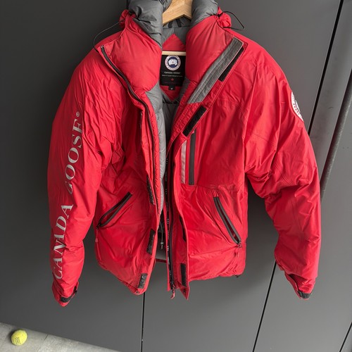 Canada goose skreslet arctic - canada,