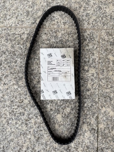 Cinghia dentata motore rotax - dentata,