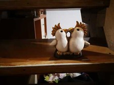 Coppia Cacatua Thun Club 2004