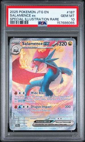 Pokemon viaggio insieme - pokemon,
