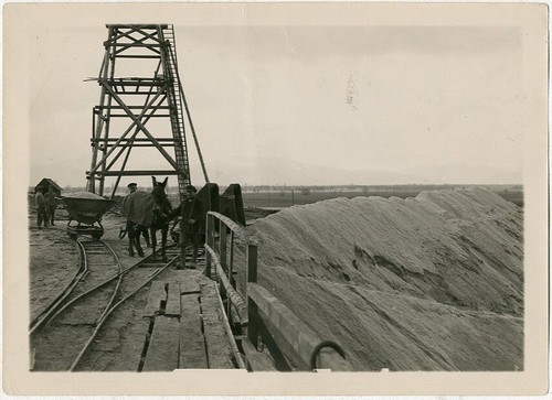 Foto trampus silver print - silver,