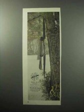 Pubblicità arco corteccia