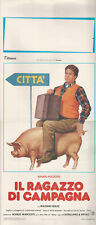 1984 * Locandina Cinema "Il Ragazzo di Campagna - Renato Pozzetto, Massimo Boldi