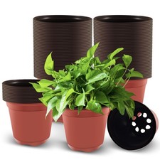 100 Pezzi Vasi Plastica per