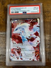 POKEMON 2013 Nero Bianco