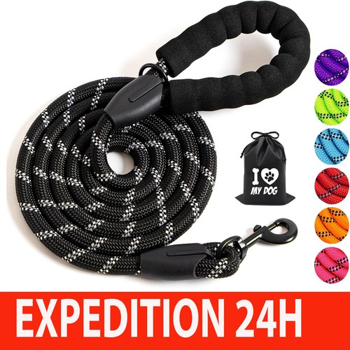 Laisse pour chien m - pour,