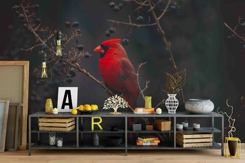 Carta parati branch bird - 3d,