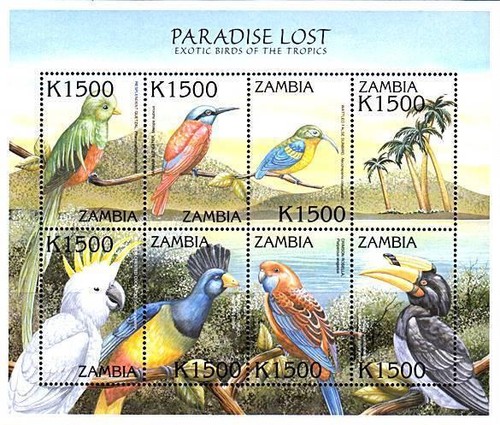 Zambia 2000 uccelli mnh - zambia,