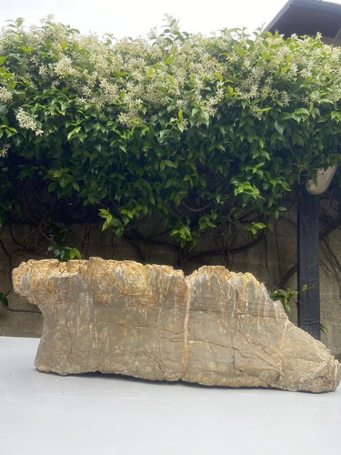 Pietra naturale suiseki
