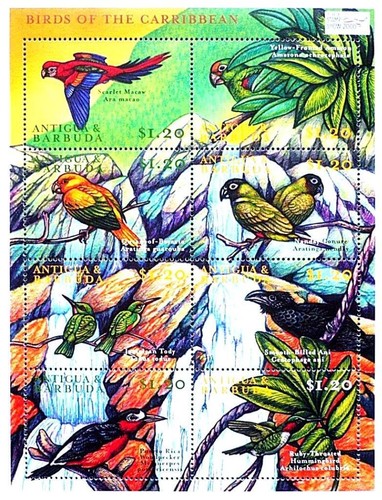 Antigua 2000 colorato uccelli - antigua,