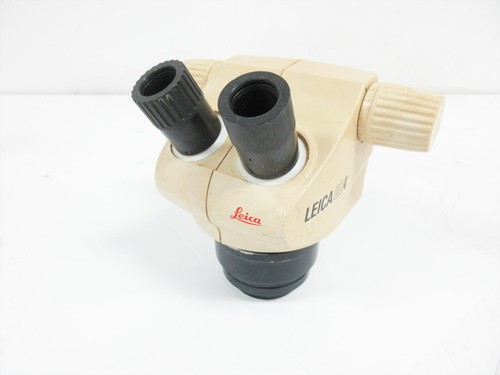 Testina microscopio zoom - testina,