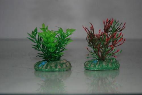 Acquario piccolo nano piante - piccolo, x