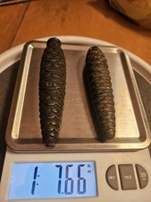 Coppia pesi orologio a cucù