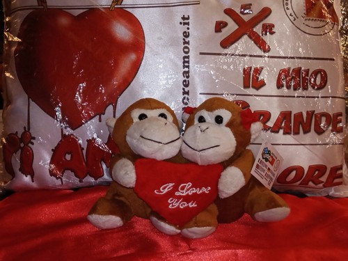 Coppia peluche san - coppia,