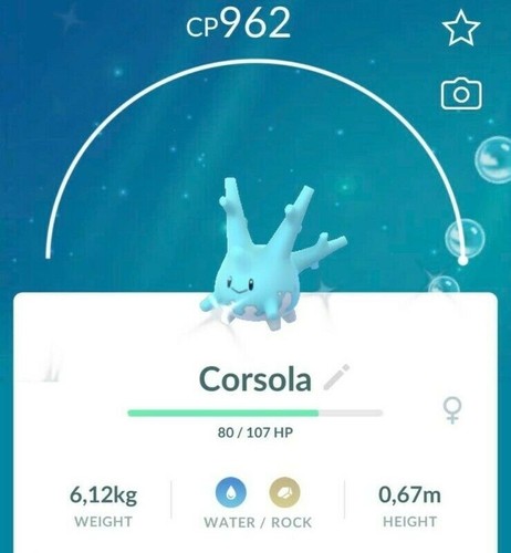 Shiny corsola t c - c,
